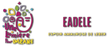 une-lumière-pour-imrane.fr